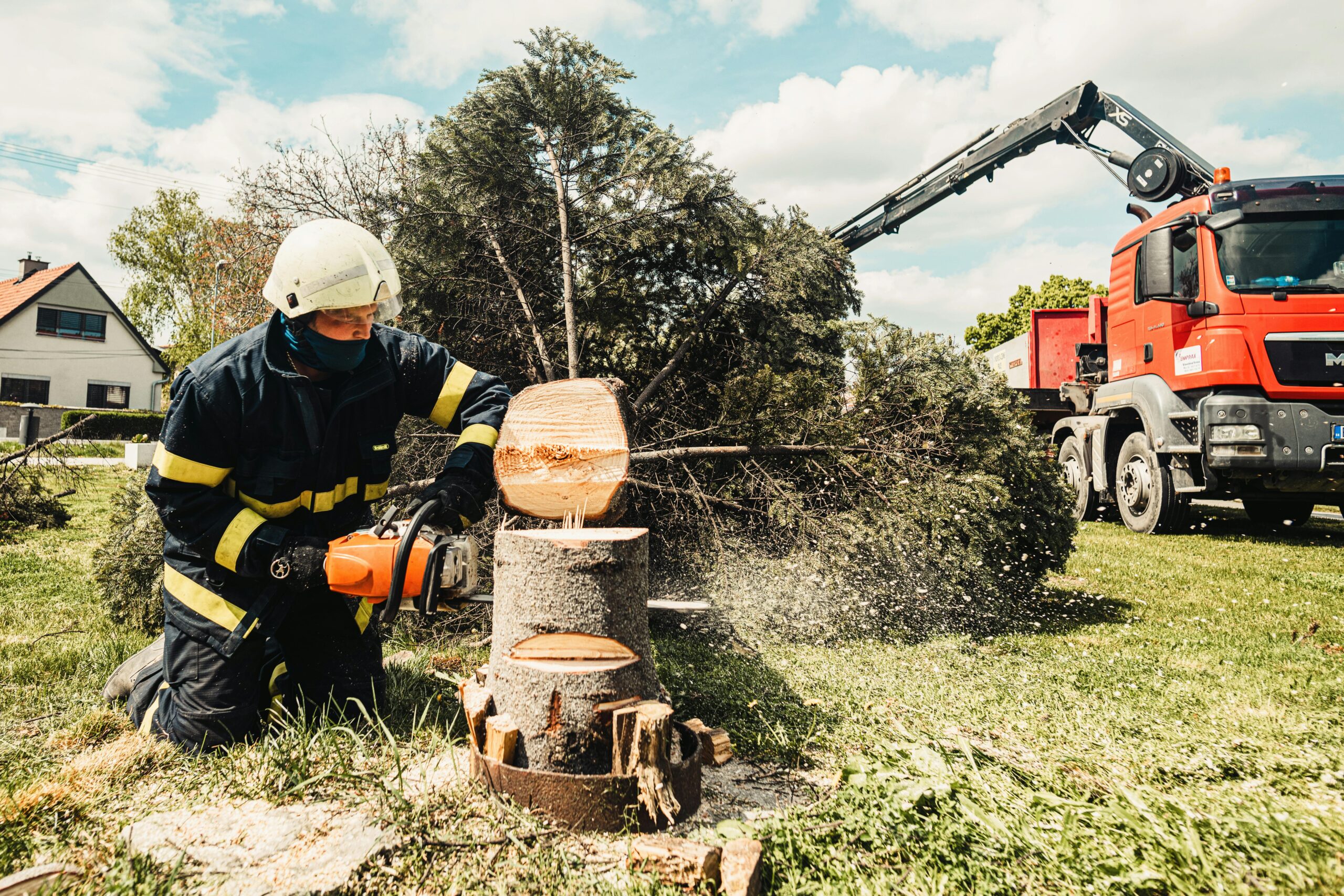 
<span>Brown Tree Service Inc</span>
