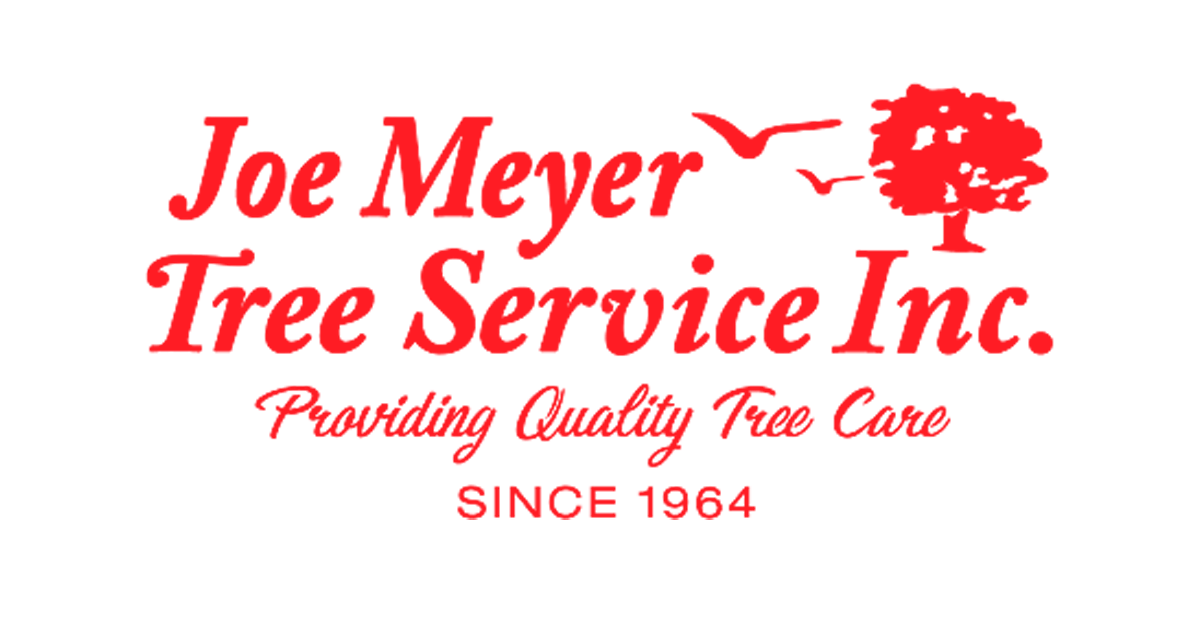
<span>Joe Meyer Tree Service Inc</span>
