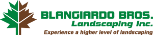 
<span>Blangiardo Bros landscaping inc</span>
