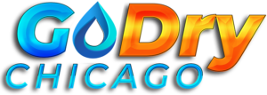 
<span>GoDry Chicago</span>
